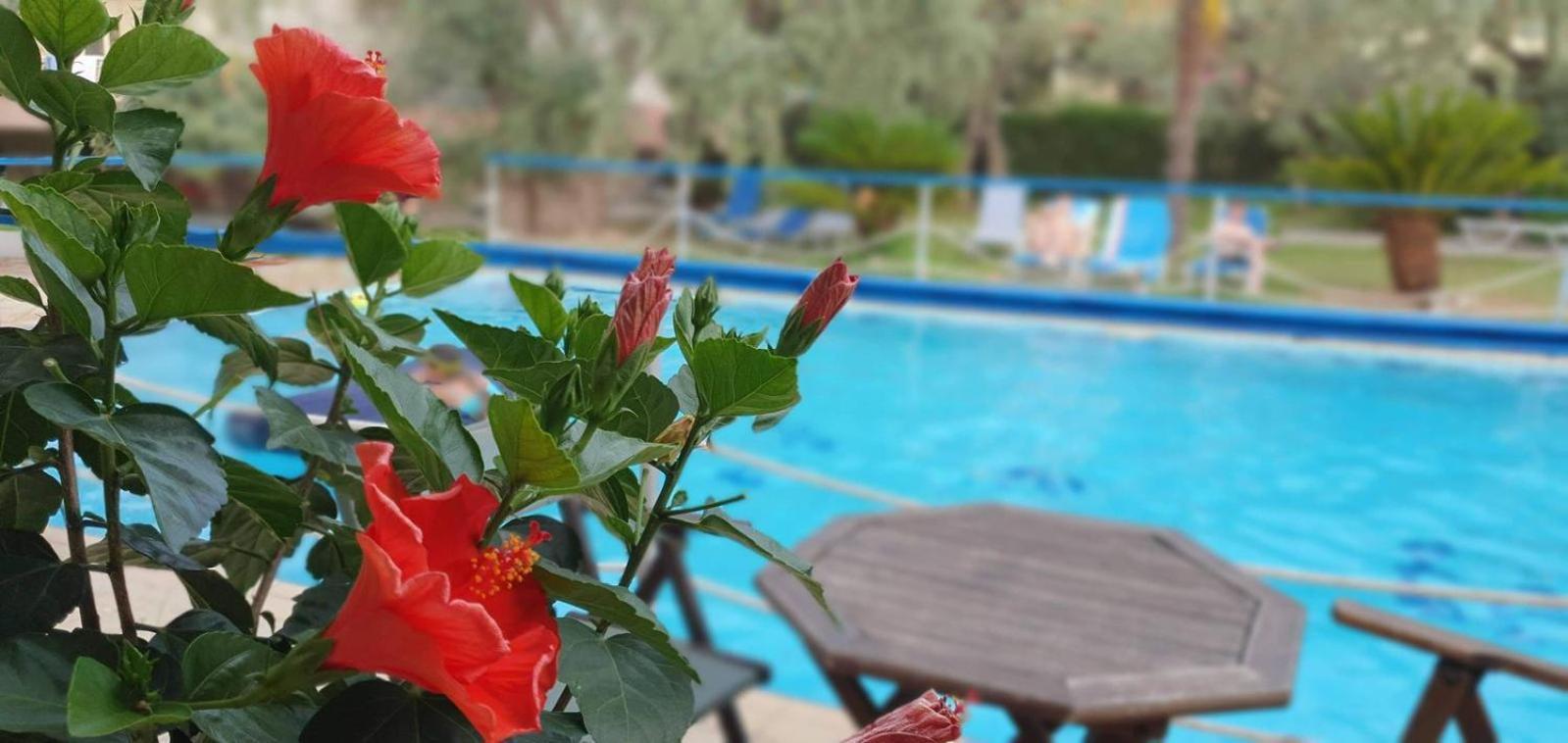Tsigoura Verde Resort Mikros Prinos Bagian luar foto
